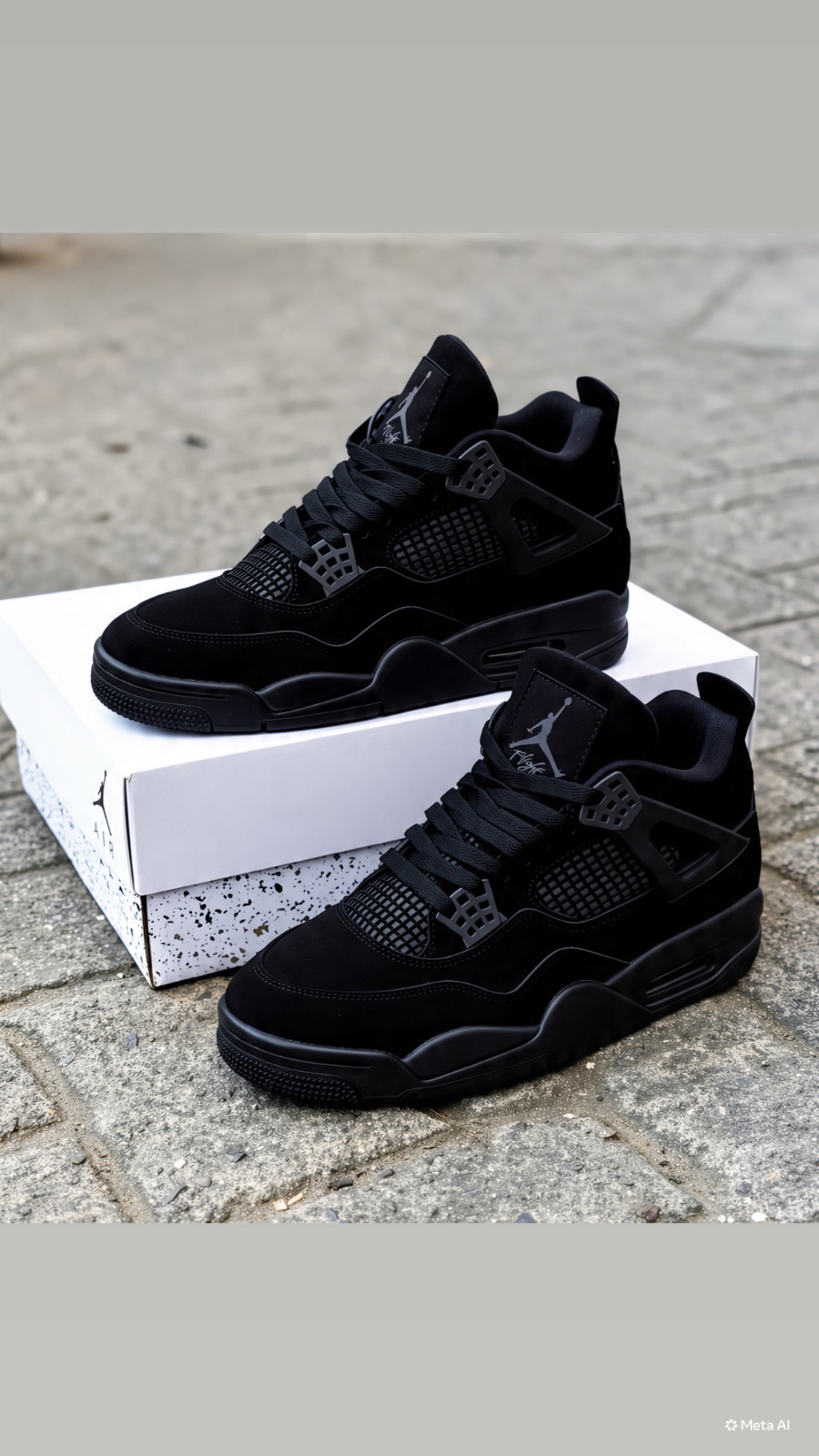 Jordan 4s (2 of 2)