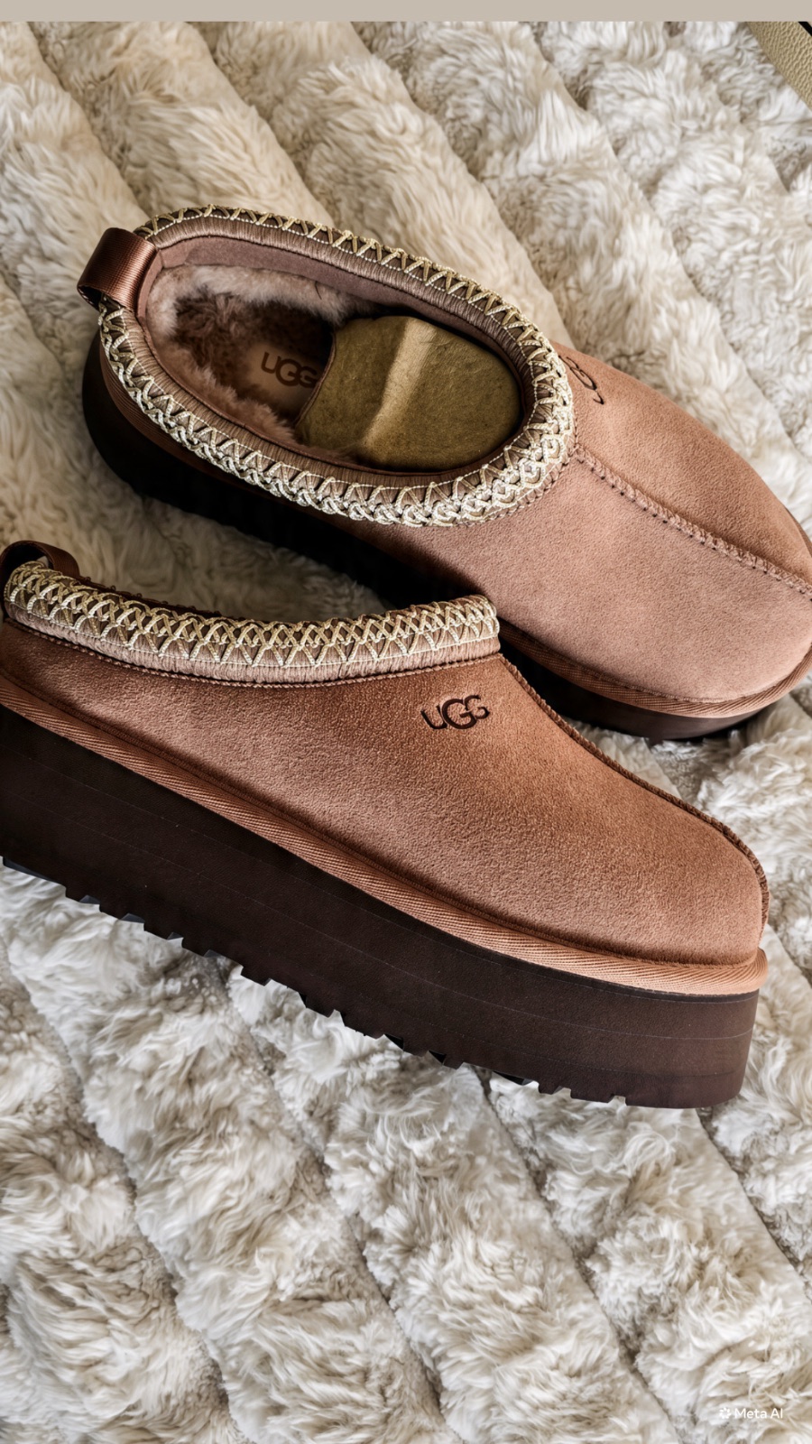 Taz Uggs