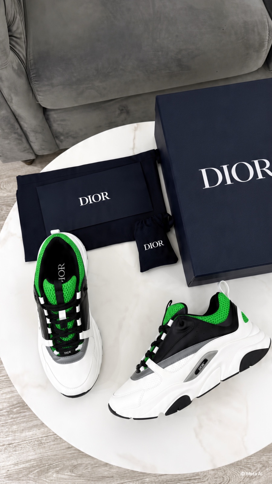 Dior B22