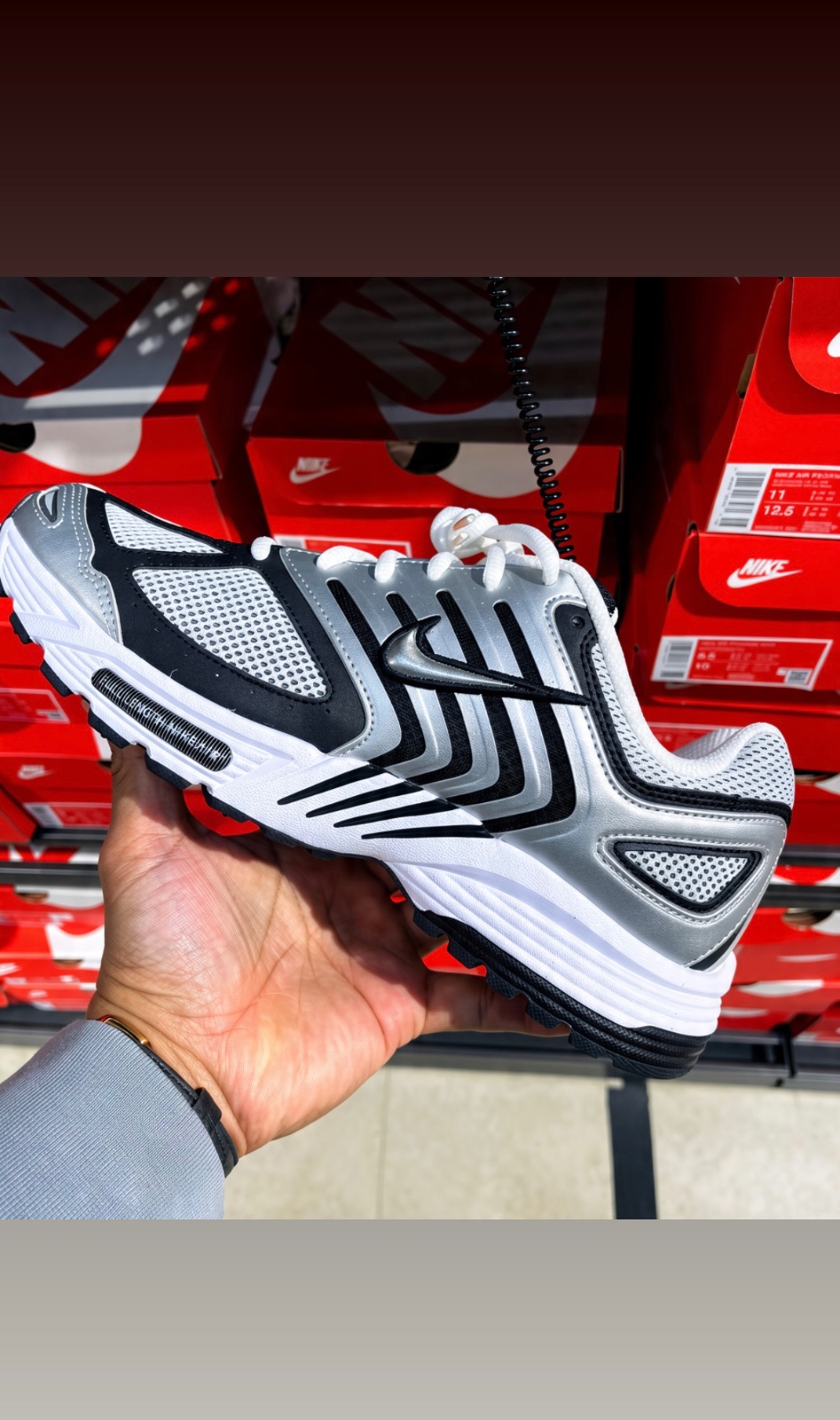 Nike Air Pegasus 2005 (3 of 5)