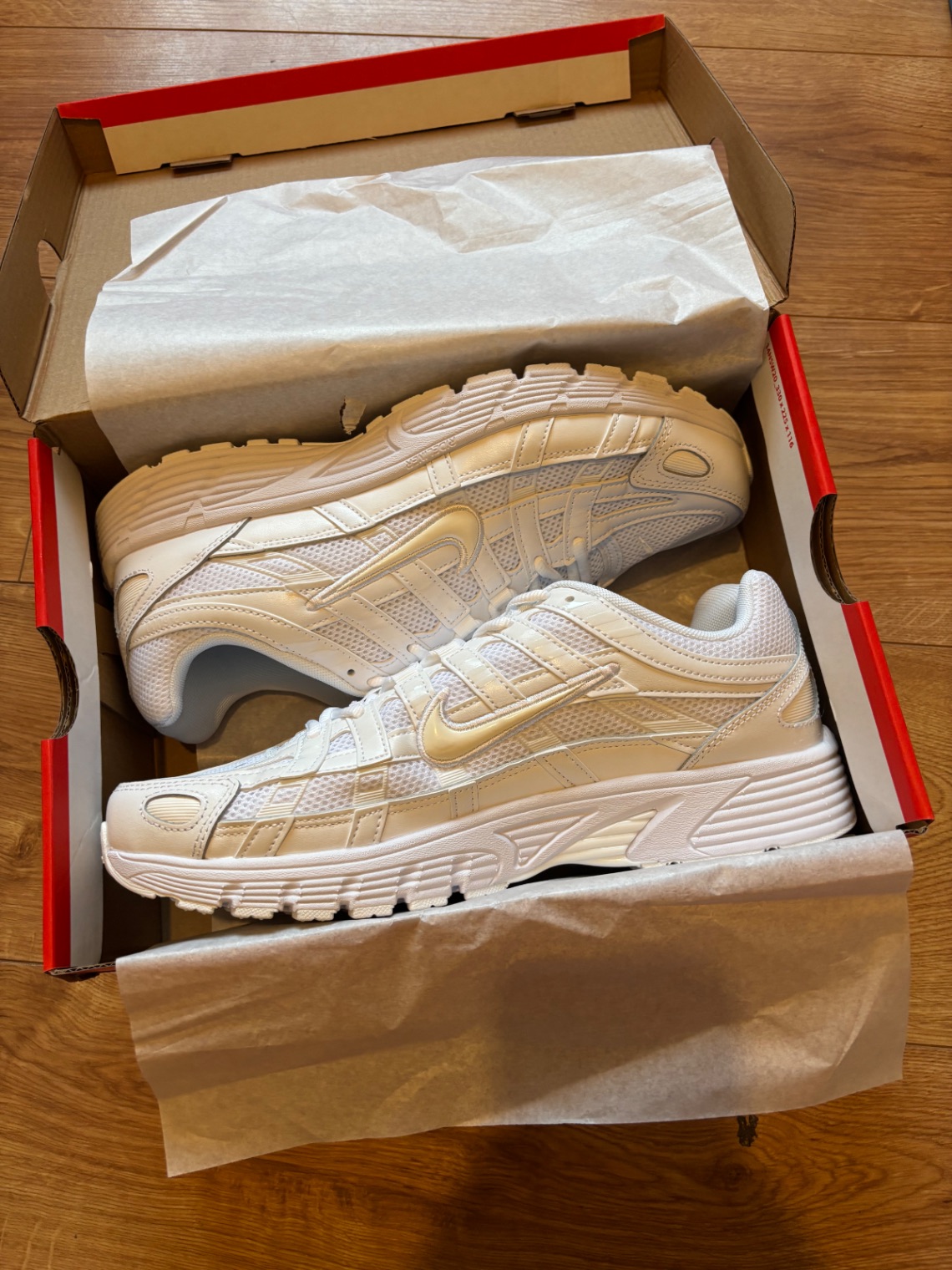 Nike P-6000